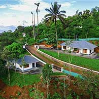 family Cottages in kuttikkanam